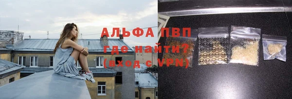 сатива Белокуриха