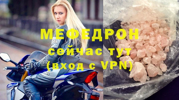 сатива Белокуриха