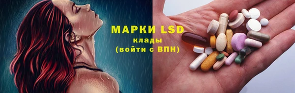 сатива Белокуриха