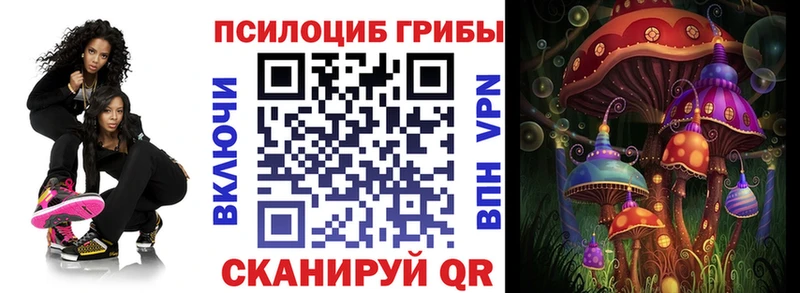 сколько стоит  Онега  Галлюциногенные грибы мухоморы 