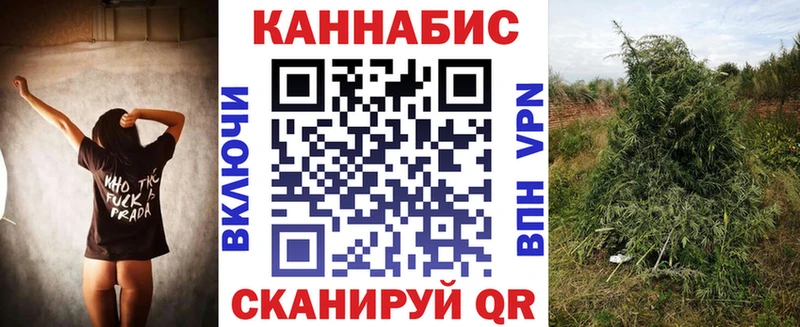 наркотики  Онега  Канабис White Widow 